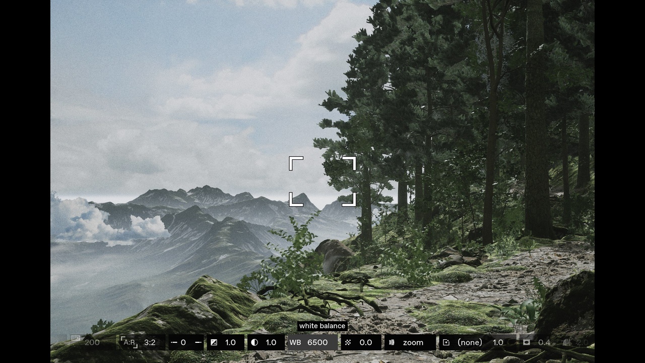 Realistic Photography System camera interface preview